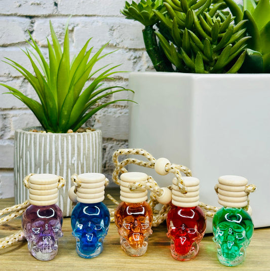 Valentine's Day | Skull Hanging Car Air Diffuser