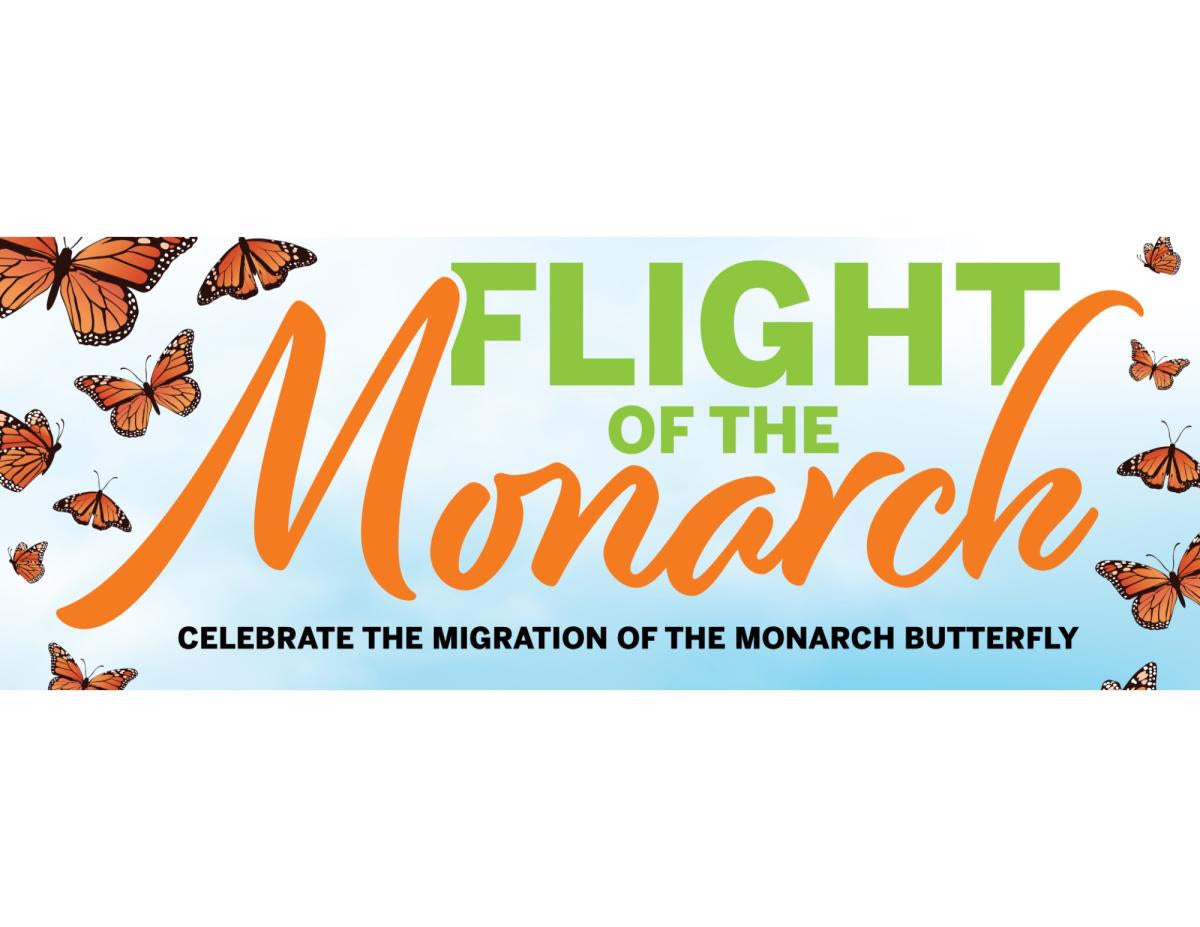 Flight of the Monarch Image